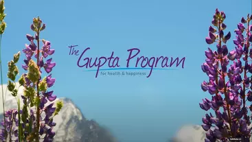 Programa Elearning Gupta