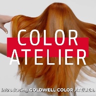 GOLDWELL COLOR ATELIER